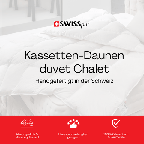 SWISSpur Schlafkomfort AG X R17 Ventures AG | Performance Marketing Agency