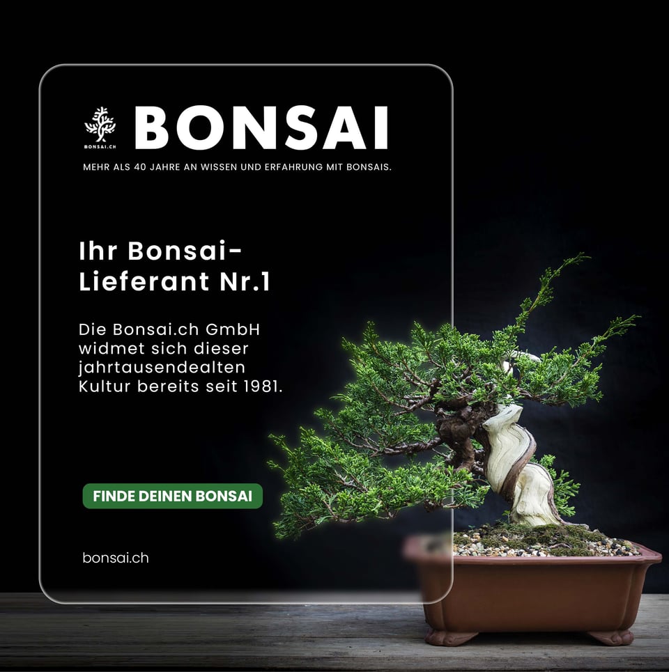 bonsai starter set erfahrungen Bonsai Growing Kit – Complete Set with Seeds, Pots & Tools (4 Varieties) main image 0