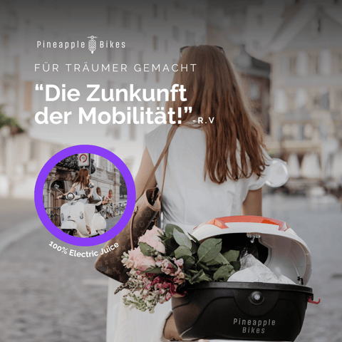 Pineapple Bikes Performance Marketing Creative 1