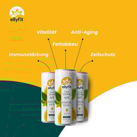 Ellyfit - FMCG Digital Performance Marketing