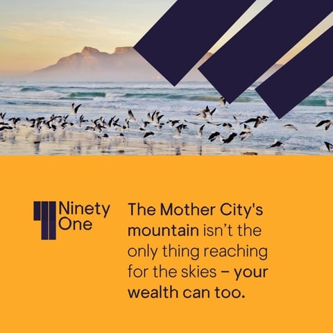 ninety one investec - finance asset manager digital performance marketing agency