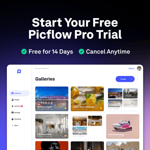 picflow - saas + app digital performance marketing agency growth hacking