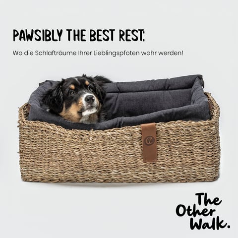 the Other Walk - Pet Care Digital Performance Marketing