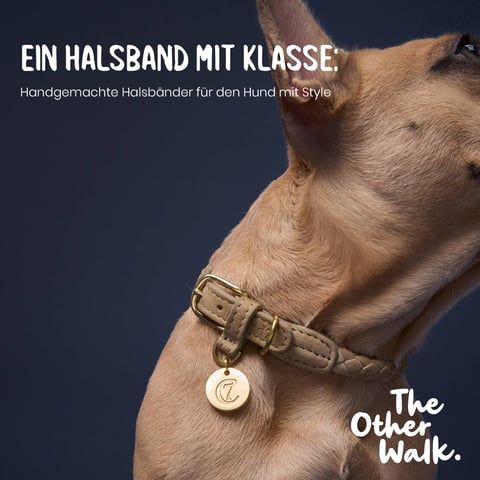 The Other Walk - Pet Care Digital Performance Marketing